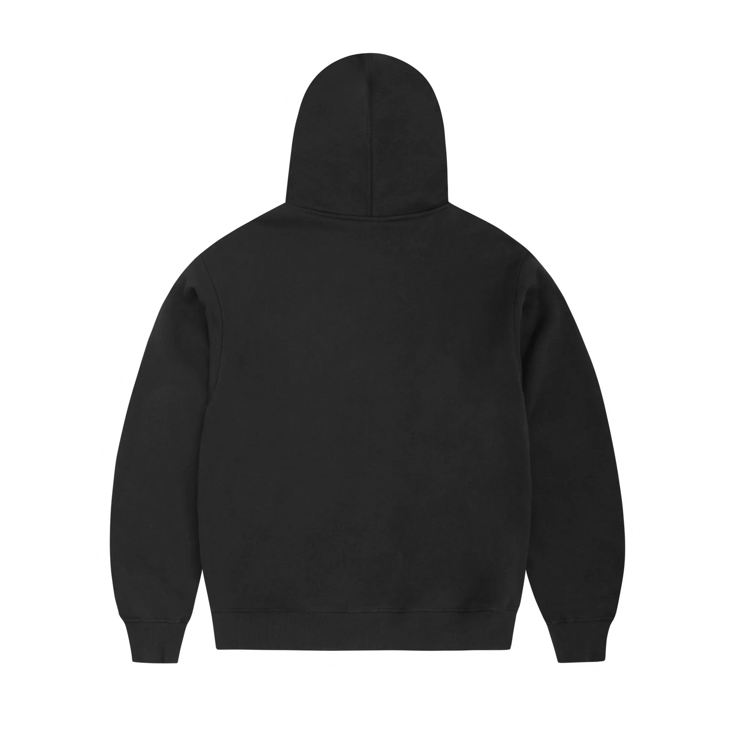 ARCH SHIELD ZIP HOODIE [BLACK]